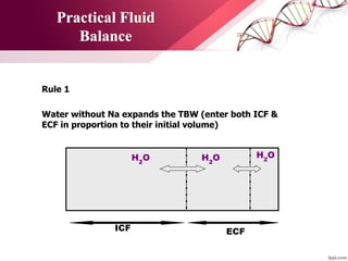 Practical Fluid
Balance
H2
O H2
O H2
O
Rule 1
Water without Na expands the TBW (enter both ICF &
ECF in proportion to their initial volume)
ECFICF
 