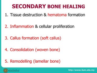 SECONDARY BONE HEALING
1. Tissue destruction & hematoma formation
2. Inflammation & cellular proliferation
3. Callus formation (soft callus)
4. Consolidation (woven bone)
5. Remodelling (lamellar bone)
 
