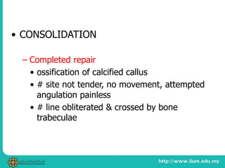 • CONSOLIDATION
– Completed repair
• ossification of calcified callus
• # site not tender, no movement, attempted
angulation painless
• # line obliterated & crossed by bone
trabeculae
 