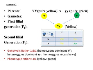 Principles of Genetics (AKNU University) | PDF