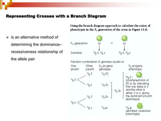 Principles of genetics for undergraduate students part 1.pdf