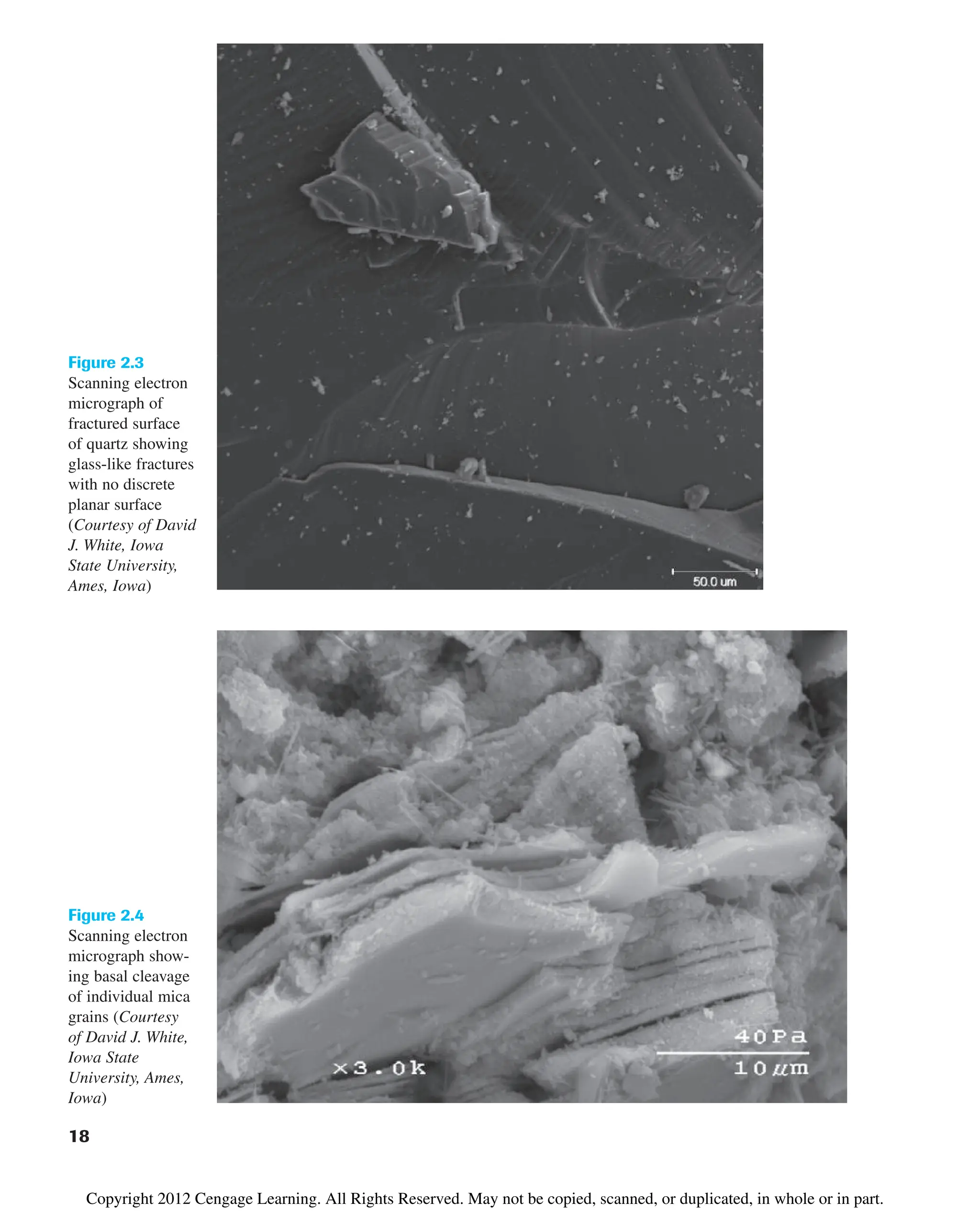 Figure 2.4
Scanning electron
micrograph show-
ing basal cleavage
of individual mica
grains (Courtesy
of David J. White,
Iowa State
University, Ames,
Iowa)
Figure 2.3
Scanning electron
micrograph of
fractured surface
of quartz showing
glass-like fractures
with no discrete
planar surface
(Courtesy of David
J. White, Iowa
State University,
Ames, Iowa)
18
Copyright 2012 Cengage Learning. All Rights Reserved. May not be copied, scanned, or duplicated, in whole or in part.
 