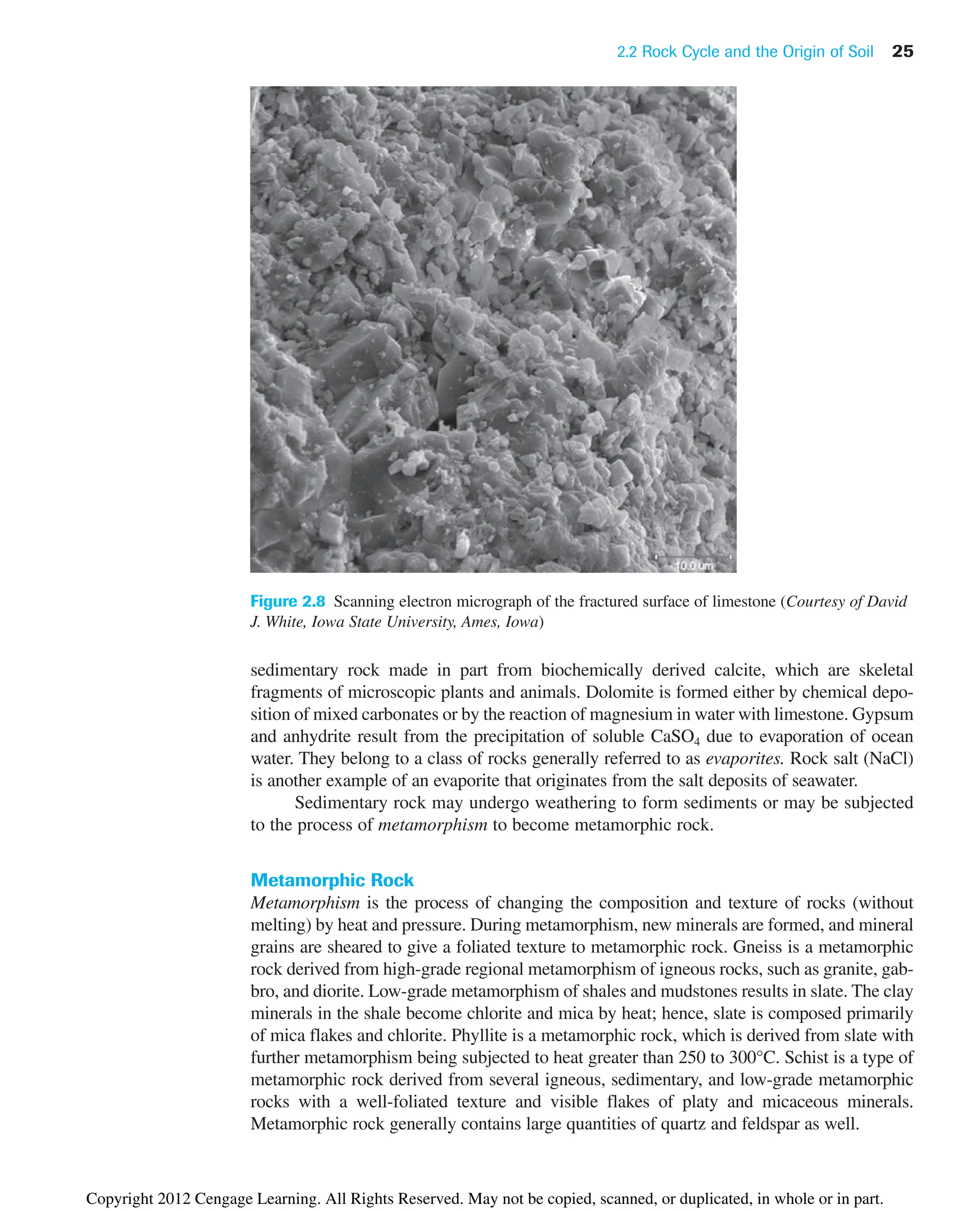 2.2 Rock Cycle and the Origin of Soil 25
sedimentary rock made in part from biochemically derived calcite, which are skeletal
fragments of microscopic plants and animals. Dolomite is formed either by chemical depo-
sition of mixed carbonates or by the reaction of magnesium in water with limestone. Gypsum
and anhydrite result from the precipitation of soluble CaSO4 due to evaporation of ocean
water. They belong to a class of rocks generally referred to as evaporites. Rock salt (NaCl)
is another example of an evaporite that originates from the salt deposits of seawater.
Sedimentary rock may undergo weathering to form sediments or may be subjected
to the process of metamorphism to become metamorphic rock.
Metamorphic Rock
Metamorphism is the process of changing the composition and texture of rocks (without
melting) by heat and pressure. During metamorphism, new minerals are formed, and mineral
grains are sheared to give a foliated texture to metamorphic rock. Gneiss is a metamorphic
rock derived from high-grade regional metamorphism of igneous rocks, such as granite, gab-
bro, and diorite. Low-grade metamorphism of shales and mudstones results in slate. The clay
minerals in the shale become chlorite and mica by heat; hence, slate is composed primarily
of mica flakes and chlorite. Phyllite is a metamorphic rock, which is derived from slate with
further metamorphism being subjected to heat greater than 250 to 300°C. Schist is a type of
metamorphic rock derived from several igneous, sedimentary, and low-grade metamorphic
rocks with a well-foliated texture and visible flakes of platy and micaceous minerals.
Metamorphic rock generally contains large quantities of quartz and feldspar as well.
Figure 2.8 Scanning electron micrograph of the fractured surface of limestone (Courtesy of David
J. White, Iowa State University, Ames, Iowa)
Copyright 2012 Cengage Learning. All Rights Reserved. May not be copied, scanned, or duplicated, in whole or in part.
 