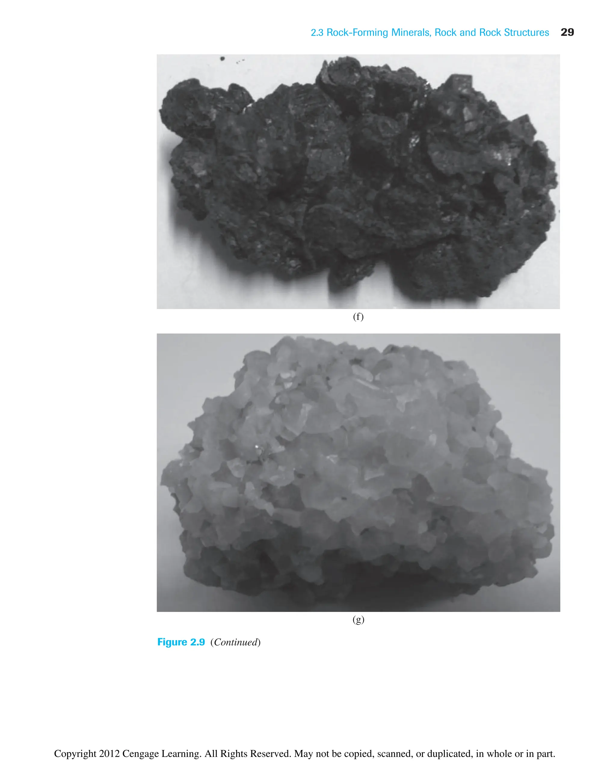 2.3 Rock-Forming Minerals, Rock and Rock Structures 29
Figure 2.9 (Continued)
(f)
(g)
Copyright 2012 Cengage Learning. All Rights Reserved. May not be copied, scanned, or duplicated, in whole or in part.
 