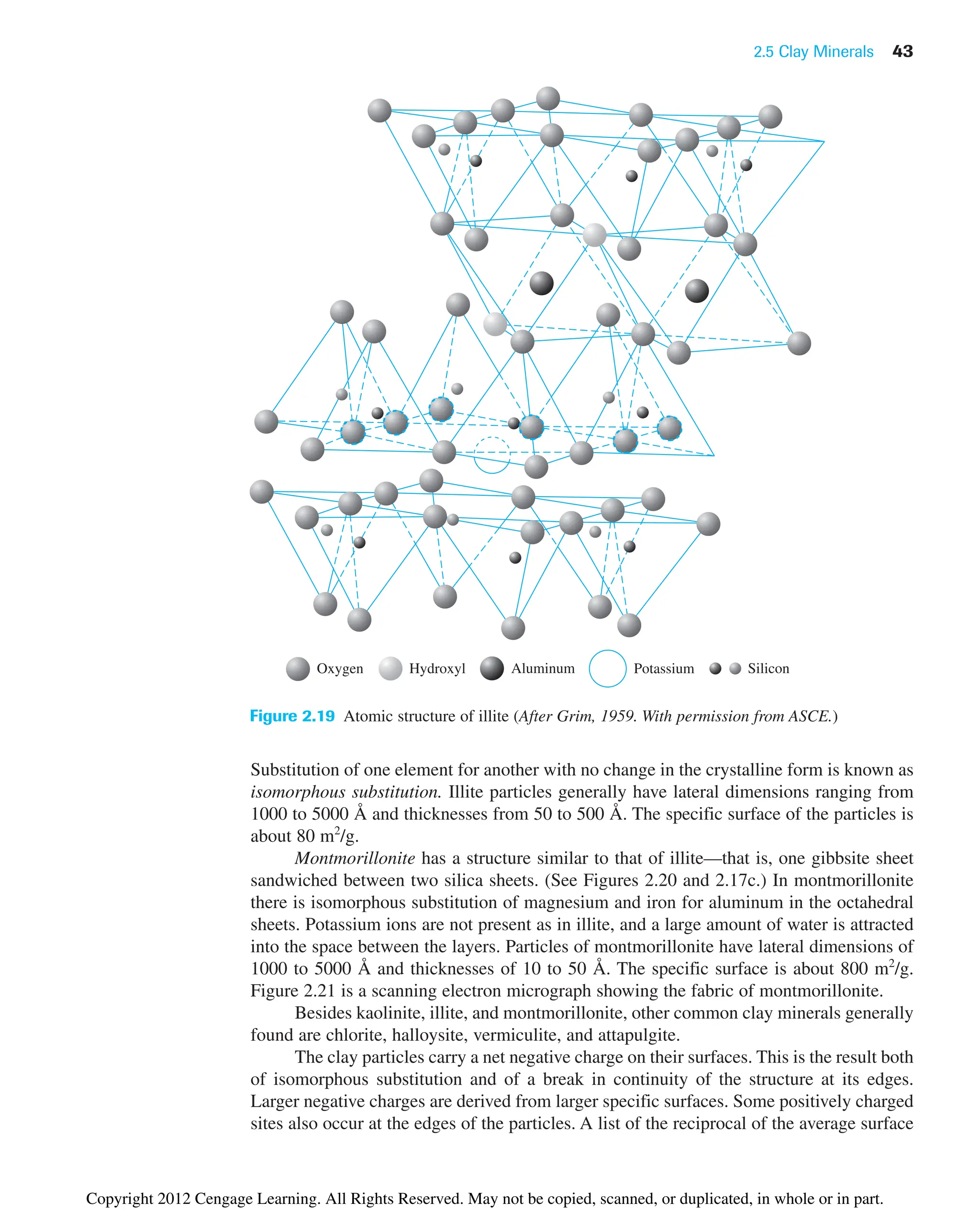 2.5 Clay Minerals 43
Substitution of one element for another with no change in the crystalline form is known as
isomorphous substitution. Illite particles generally have lateral dimensions ranging from
1000 to 5000 Å and thicknesses from 50 to 500 Å. The specific surface of the particles is
about 80 m2
/g.
Montmorillonite has a structure similar to that of illite—that is, one gibbsite sheet
sandwiched between two silica sheets. (See Figures 2.20 and 2.17c.) In montmorillonite
there is isomorphous substitution of magnesium and iron for aluminum in the octahedral
sheets. Potassium ions are not present as in illite, and a large amount of water is attracted
into the space between the layers. Particles of montmorillonite have lateral dimensions of
1000 to 5000 Å and thicknesses of 10 to 50 Å. The specific surface is about 800 m2
/g.
Figure 2.21 is a scanning electron micrograph showing the fabric of montmorillonite.
Besides kaolinite, illite, and montmorillonite, other common clay minerals generally
found are chlorite, halloysite, vermiculite, and attapulgite.
The clay particles carry a net negative charge on their surfaces. This is the result both
of isomorphous substitution and of a break in continuity of the structure at its edges.
Larger negative charges are derived from larger specific surfaces. Some positively charged
sites also occur at the edges of the particles. A list of the reciprocal of the average surface
Potassium
Oxygen Hydroxyl Aluminum Silicon
Figure 2.19 Atomic structure of illite (After Grim, 1959. With permission from ASCE.)
Copyright 2012 Cengage Learning. All Rights Reserved. May not be copied, scanned, or duplicated, in whole or in part.
 
