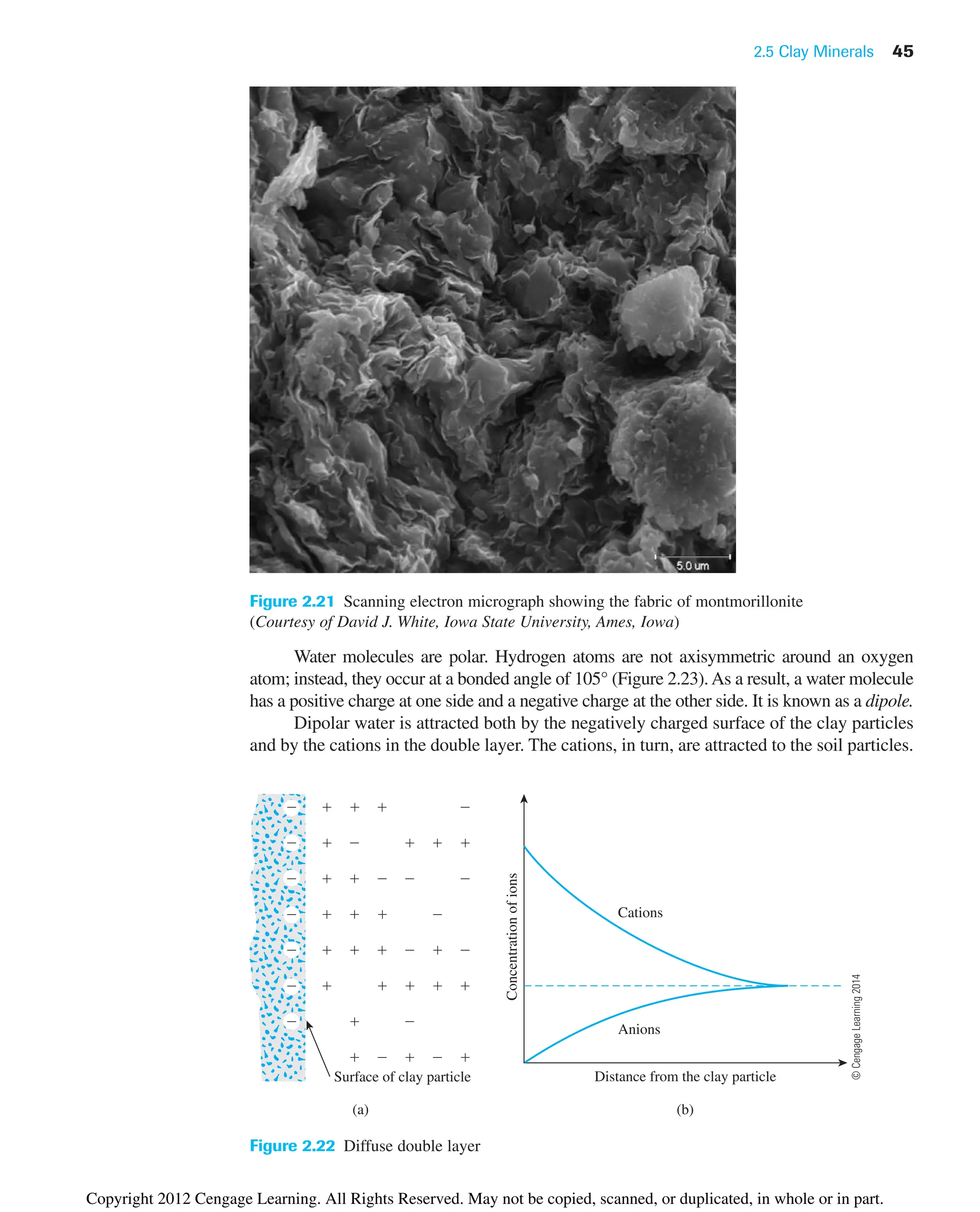 2.5 Clay Minerals 45
Water molecules are polar. Hydrogen atoms are not axisymmetric around an oxygen
atom; instead, they occur at a bonded angle of 105° (Figure 2.23).As a result, a water molecule
has a positive charge at one side and a negative charge at the other side. It is known as a dipole.
Dipolar water is attracted both by the negatively charged surface of the clay particles
and by the cations in the double layer. The cations, in turn, are attracted to the soil particles.
Figure 2.21 Scanning electron micrograph showing the fabric of montmorillonite
(Courtesy of David J. White, Iowa State University, Ames, Iowa)
Surface of clay particle
(b)
Cations
Anions
Distance from the clay particle
Concentration
of
ions
(a)
    
     
     
    
      
     
  
    
Figure 2.22 Diffuse double layer
©
Cengage
Learning
2014
Copyright 2012 Cengage Learning. All Rights Reserved. May not be copied, scanned, or duplicated, in whole or in part.
 