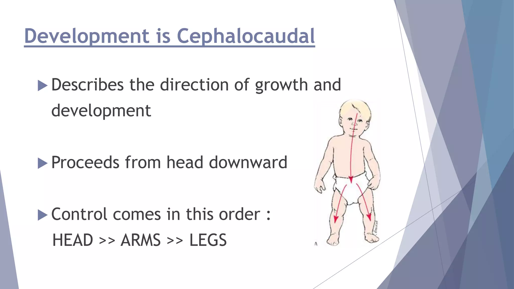 Development is Cephalocaudal
 Describes the direction of growth and
development
 Proceeds from head downward
 Control comes in this order :
HEAD >> ARMS >> LEGS
 