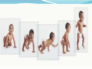 Maturation Human Development Human Growth and Development | PPTX