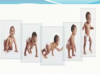 Principles of human growth and development | PPTX