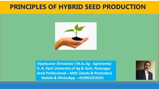 PRINCIPLES OF HYBRID SEED PRODUCTION
Vijaykumar Shrivastav ( M.Sc.Ag - Agronomy)
G. B. Pant University of Ag & Tech, Pantnagar
Seed Professional – MNC (Seeds & Pesticides)
Mobile & WhatsApp - +919925318391
 