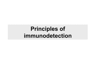 Principles of
immunodetection
 