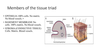The PRINCIPLES OF IMPLANT DESIGN [Autosaved].pptx