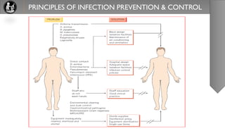 Laboratory Infection Control Principles of infection prevention in laboratory and hospital | PDF