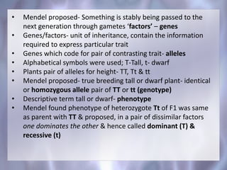 • Mendel proposed- Something is stably being passed to the
next generation through gametes ‘factors’ – genes
• Genes/factors- unit of inheritance, contain the information
required to express particular trait
• Genes which code for pair of contrasting trait- alleles
• Alphabetical symbols were used; T-Tall, t- dwarf
• Plants pair of alleles for height- TT, Tt & tt
• Mendel proposed- true breeding tall or dwarf plant- identical
or homozygous allele pair of TT or tt (genotype)
• Descriptive term tall or dwarf- phenotype
• Mendel found phenotype of heterozygote Tt of F1 was same
as parent with TT & proposed, in a pair of dissimilar factors
one dominates the other & hence called dominant (T) &
recessive (t)
 