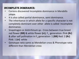 Incomplete dominance:
• Correns discovered Incomplete dominance in Merabilis
jalapa.
• It is also called partial dominance, semi dominance.
• The inheritance in which allele for a specific character is not
completely dominant over other allele is called Incomplete
dominance.
• Snapdragon or Antirrhinum sp.- Cross between true breed
red flower (RR) & white flower (rr), F1 generation- Pink (Rr)
& after self pollination in F2 generation- 1 (RR) Red: 2 (Rr)
Pink: 1 (rr) white
• Genotype ratio same as Mendelian cross & Phenotype ratio
different than Mendelian cross
 