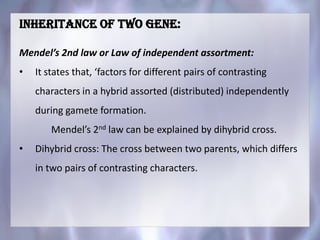 Inheritance of two gene:
Mendel’s 2nd law or Law of independent assortment:
• It states that, ‘factors for different pairs of contrasting
characters in a hybrid assorted (distributed) independently
during gamete formation.
Mendel’s 2nd law can be explained by dihybrid cross.
• Dihybrid cross: The cross between two parents, which differs
in two pairs of contrasting characters.
 