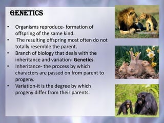 Genetics
• Organisms reproduce- formation of
offspring of the same kind.
• The resulting offspring most often do not
totally resemble the parent.
• Branch of biology that deals with the
inheritance and variation- Genetics.
• Inheritance- the process by which
characters are passed on from parent to
progeny.
• Variation-it is the degree by which
progeny differ from their parents.
 