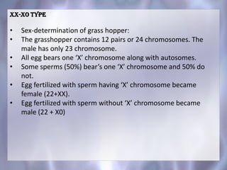 XX-XO type
• Sex-determination of grass hopper:
• The grasshopper contains 12 pairs or 24 chromosomes. The
male has only 23 chromosome.
• All egg bears one ‘X’ chromosome along with autosomes.
• Some sperms (50%) bear’s one ‘X’ chromosome and 50% do
not.
• Egg fertilized with sperm having ‘X’ chromosome became
female (22+XX).
• Egg fertilized with sperm without ‘X’ chromosome became
male (22 + X0)
 