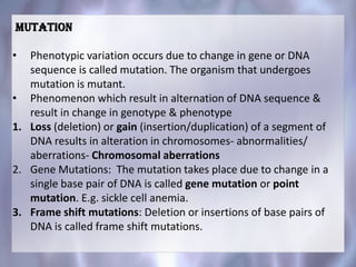 MUTATION
• Phenotypic variation occurs due to change in gene or DNA
sequence is called mutation. The organism that undergoes
mutation is mutant.
• Phenomenon which result in alternation of DNA sequence &
result in change in genotype & phenotype
1. Loss (deletion) or gain (insertion/duplication) of a segment of
DNA results in alteration in chromosomes- abnormalities/
aberrations- Chromosomal aberrations
2. Gene Mutations: The mutation takes place due to change in a
single base pair of DNA is called gene mutation or point
mutation. E.g. sickle cell anemia.
3. Frame shift mutations: Deletion or insertions of base pairs of
DNA is called frame shift mutations.
 
