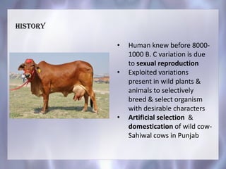 history
• Human knew before 8000-
1000 B. C variation is due
to sexual reproduction
• Exploited variations
present in wild plants &
animals to selectively
breed & select organism
with desirable characters
• Artificial selection &
domestication of wild cow-
Sahiwal cows in Punjab
 