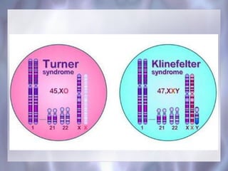 Principles of Inheritance, Class 12 CBSE