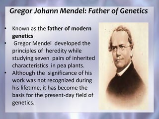 Gregor Johann Mendel: Father of Genetics
• Known as the father of modern
genetics
• Gregor Mendel developed the
principles of heredity while
studying seven pairs of inherited
characteristics in pea plants.
• Although the significance of his
work was not recognized during
his lifetime, it has become the
basis for the present-day field of
genetics.
 