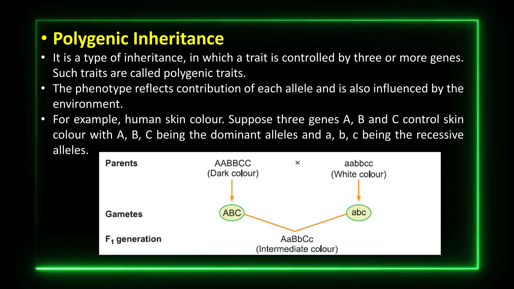 • Polygenic Inheritance
• It is a type of inheritance, in which a trait is controlled by three or more genes.
Such traits are called polygenic traits.
• The phenotype reflects contribution of each allele and is also influenced by the
environment.
• For example, human skin colour. Suppose three genes A, B and C control skin
colour with A, B, C being the dominant alleles and a, b, c being the recessive
alleles.
 