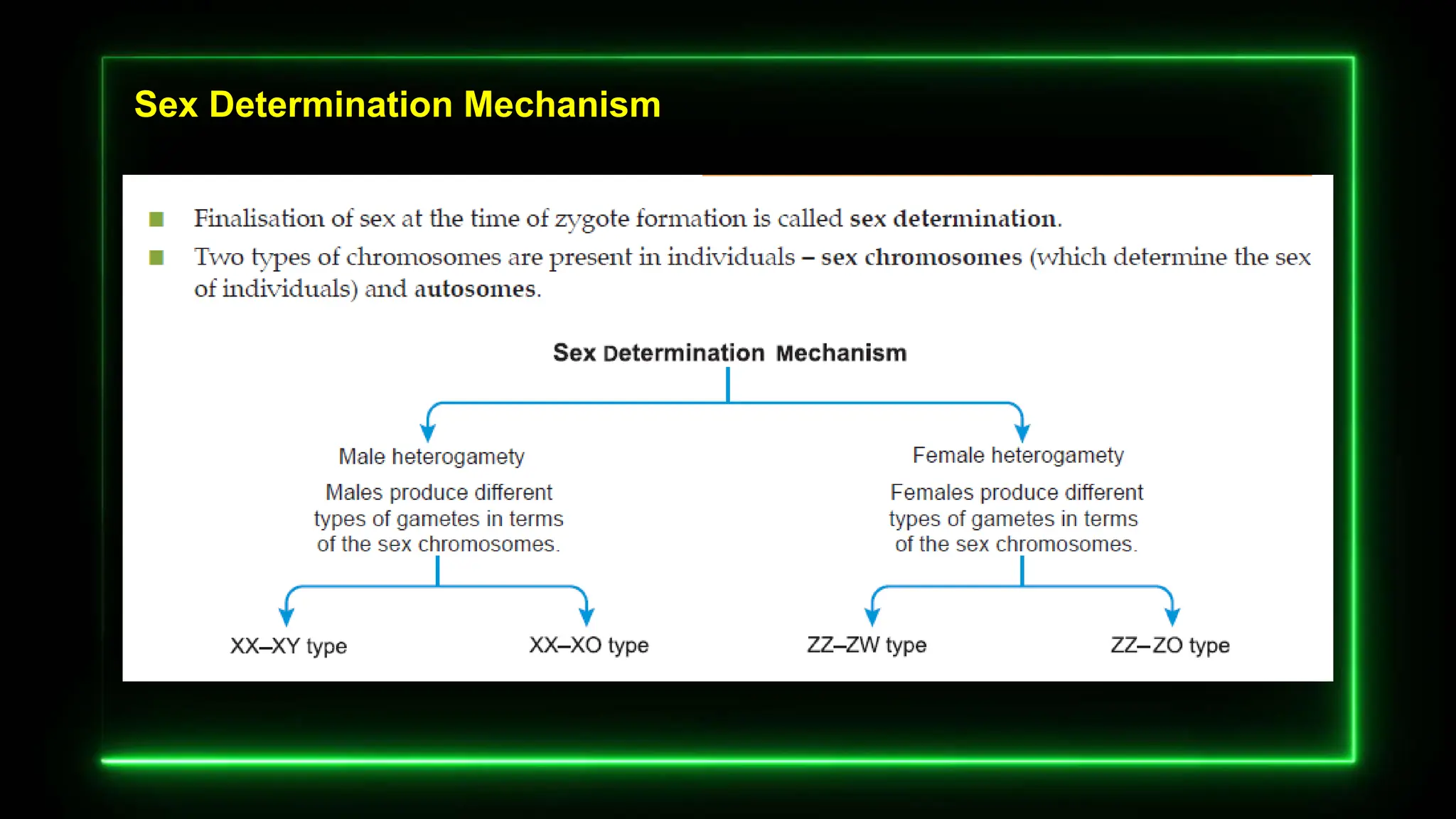 Sex Determination Mechanism
 