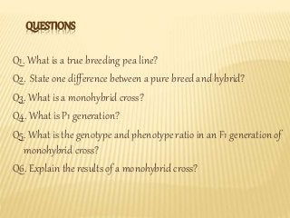 Pure Line Genetics Example Principles of inheritance and variations presentation part- I | PPTX