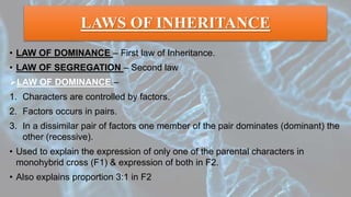 LAWS OF INHERITANCE
• LAW OF DOMINANCE – First law of Inheritance.
• LAW OF SEGREGATION – Second law
LAW OF DOMINANCE –
1. Characters are controlled by factors.
2. Factors occurs in pairs.
3. In a dissimilar pair of factors one member of the pair dominates (dominant) the
other (recessive).
• Used to explain the expression of only one of the parental characters in
monohybrid cross (F1) & expression of both in F2.
• Also explains proportion 3:1 in F2
 