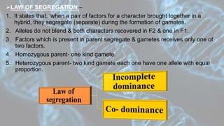 LAW OF SEGREGATION –
1. It states that, ‘when a pair of factors for a character brought together in a
hybrid, they segregate (separate) during the formation of gametes.
2. Alleles do not blend & both characters recovered in F2 & one in F1.
3. Factors which is present in parent segregate & gametes receives only one of
two factors.
4. Homozygous parent- one kind gamete.
5. Heterozygous parent- two kind gamete each one have one allele with equal
proportion.
 