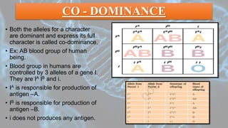 CO - DOMINANCE
• Both the alleles for a character
are dominant and express its full
character is called co-dominance.
• Ex: AB blood group of human
being.
• Blood group in humans are
controlled by 3 alleles of a gene I.
They are IA IB and i.
• IA is responsible for production of
antigen –A.
• IB is responsible for production of
antigen –B.
• i does not produces any antigen.
 