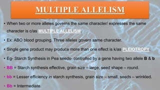 MULTIPLE ALLELISM
• When two or more alleles governs the same character/ expresses the same
character is c/as MULTIPLE ALLELISM.
• Ex: ABO blood grouping. Three alleles govern same character.
• Single gene product may produce more than one effect is k/as PLEIOTROPY.
• Eg- Starch Synthesis in Pea seeds- controlled by a gene having two allele B & b
• BB = Starch synthesis effective, grain size – large, seed shape – round.
• bb = Lesser efficiency in starch synthesis, grain size – small, seeds – wrinkled.
• Bb = Intermediate.
 