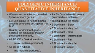 POLYGENIC INHERITANCE/
QUANTITATIVE INHERITANCE
• When one character is controlled
by two or more genes.
• Ex: Skin colour in human beings
which is controlled by 3 genes – A,
B, C.
• Quantity of dominant genes
decides the amount of melanin
produced in the body.
• AA BB CC = Dark skin colour
• (max. melanin produced).
• Aa bb cc = Albinos
• (no melanin produced).
• Aa Bb Cc = Wheatish colour
(intermediate melanin).
• Talking about the range –
• 6 Dominant – Black
• 5 Dominant – Very dark
• 4 Dominant – Dark
• 3 Dominant – Intermediate
• 2 Dominant – Fair
• 1 Dominant – Very fair
• 0 Dominant - Albino
 