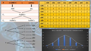 P AABBCC x aabbcc
ABC abc
F1 AaBbCc
F2 AaBbCc AaBbCc
A
C ABC
B c ABc
b C AbC
c Abc
a
C aBC
B c aBc
b C abC
c abc
ABC ABc AbC Abc aBC aBc abC abc
ABC 6 5 5 4 5 4 4 3
ABc 5 4 4 3 4 3 3 2
AbC 5 4 4 3 4 3 3 2
Abc 4 3 3 2 3 2 2 1
aBC 5 4 4 3 4 3 3 2
aBc 4 3 3 2 3 2 2 1
abC 4 3 3 2 3 2 2 1
abc 3 2 2 1 2 1 1 0
0
5
10
15
20
25
0
5
10
15
20
25
0 1 2 3 4 5 6
BELL GRAPH – POLYGENIC INHERITANCE
Series 1 Column1 Series 3
 