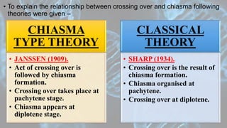 • To explain the relationship between crossing over and chiasma following
theories were given –
CHIASMA
TYPE THEORY
• JANSSEN (1909).
• Act of crossing over is
followed by chiasma
formation.
• Crossing over takes place at
pachytene stage.
• Chiasma appears at
diplotene stage.
CLASSICAL
THEORY
• SHARP (1934).
• Crossing over is the result of
chiasma formation.
• Chiasma organised at
pachytene.
• Crossing over at diplotene.
 