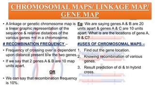 CHROMOSOMAL MAPS/ LINKAGE MAP/
GENE MAP
• A linkage or genetic chromosome map is
a linear graphic representation of the
sequence & relative distances of the
various genes +nt in a chromosome.
# RECOMBINATION FREQUENCY –
• Frequency of crossing over is dependent
upon distance present b/w the two genes.
• If we say that 2 genes A & B are 10 map
units apart.
OR
• We can say that recombination frequency
is 10%.
Eg: We are saying genes A & B are 20
units apart & genes A & C are 10 units
apart. What is are the locations of gene A,
B & C?
#USES OF CHROMOSOMAL MAPS –
1. Find out the gene location.
2. Knowing recombination of various
genes.
3. Result prediction of di & tri hybrid
cross.
 