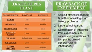 1. Applied statistical analysis
& mathematical logic for
biology problems.
2. Large sampling size.
3. Confirmation of inference
from experiments on
successive generations of
test plants, proved
general rules of
inheritance.
TRAITS OF PEA
PLANT
CHARACTERISTIC DOMINANT RECESSIVE
HEIGHT Tall Dwarf
SEED SHAPE Round Wrinkled
SEED COLOUR Yellow Green
SEED COAT
COLOR
Green Yellow
POD SHAPE Inflated (full) Constricted (dull)
POD COLOUR Green Yellow
FLOWER
POSITION
Axial Terminal
DRAWBACK OF
EXPERIMENT
 