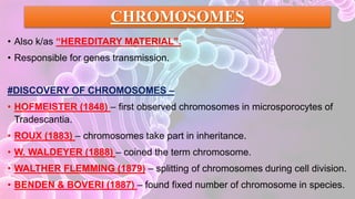 CHROMOSOMES
• Also k/as “HEREDITARY MATERIAL”.
• Responsible for genes transmission.
#DISCOVERY OF CHROMOSOMES –
• HOFMEISTER (1848) – first observed chromosomes in microsporocytes of
Tradescantia.
• ROUX (1883) – chromosomes take part in inheritance.
• W. WALDEYER (1888) – coined the term chromosome.
• WALTHER FLEMMING (1879) – splitting of chromosomes during cell division.
• BENDEN & BOVERI (1887) – found fixed number of chromosome in species.
 