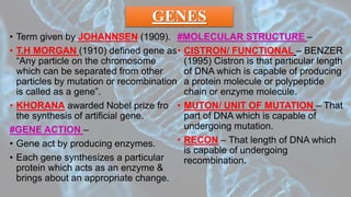 GENES
• Term given by JOHANNSEN (1909).
• T.H MORGAN (1910) defined gene as
“Any particle on the chromosome
which can be separated from other
particles by mutation or recombination
is called as a gene”.
• KHORANA awarded Nobel prize fro
the synthesis of artificial gene.
#GENE ACTION –
• Gene act by producing enzymes.
• Each gene synthesizes a particular
protein which acts as an enzyme &
brings about an appropriate change.
#MOLECULAR STRUCTURE –
• CISTRON/ FUNCTIONAL – BENZER
(1995) Cistron is that particular length
of DNA which is capable of producing
a protein molecule or polypeptide
chain or enzyme molecule.
• MUTON/ UNIT OF MUTATION – That
part of DNA which is capable of
undergoing mutation.
• RECON – That length of DNA which
is capable of undergoing
recombination.
 