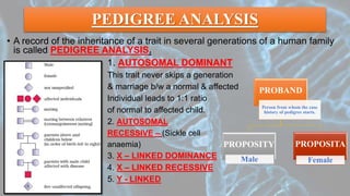PEDIGREE ANALYSIS
• A record of the inheritance of a trait in several generations of a human family
is called PEDIGREE ANALYSIS.
• 1. AUTOSOMAL DOMINANT
• This trait never skips a generation
• & marriage b/w a normal & affected
• Individual leads to 1:1 ratio
• of normal to affected child.
• 2. AUTOSOMAL
• RECESSIVE – (Sickle cell
• anaemia)
• 3. X – LINKED DOMINANCE
• 4. X – LINKED RECESSIVE
• 5. Y - LINKED
PROBAND
Person from whom the case
history of pedigree starts.
PROPOSITY
Male
PROPOSITA
Female
 