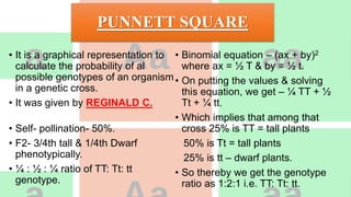 PUNNETT SQUARE
• It is a graphical representation to
calculate the probability of al
possible genotypes of an organism
in a genetic cross.
• It was given by REGINALD C.
PUNNETT.
• Self- pollination- 50%.
• F2- 3/4th tall & 1/4th Dwarf
phenotypically.
• ¼ : ½ : ¼ ratio of TT: Tt: tt
genotype.
• Binomial equation – (ax + by)2
where ax = ½ T & by = ½ t.
• On putting the values & solving
this equation, we get – ¼ TT + ½
Tt + ¼ tt.
• Which implies that among that
cross 25% is TT = tall plants
50% is Tt = tall plants
25% is tt – dwarf plants.
• So thereby we get the genotype
ratio as 1:2:1 i.e. TT: Tt: tt.
 