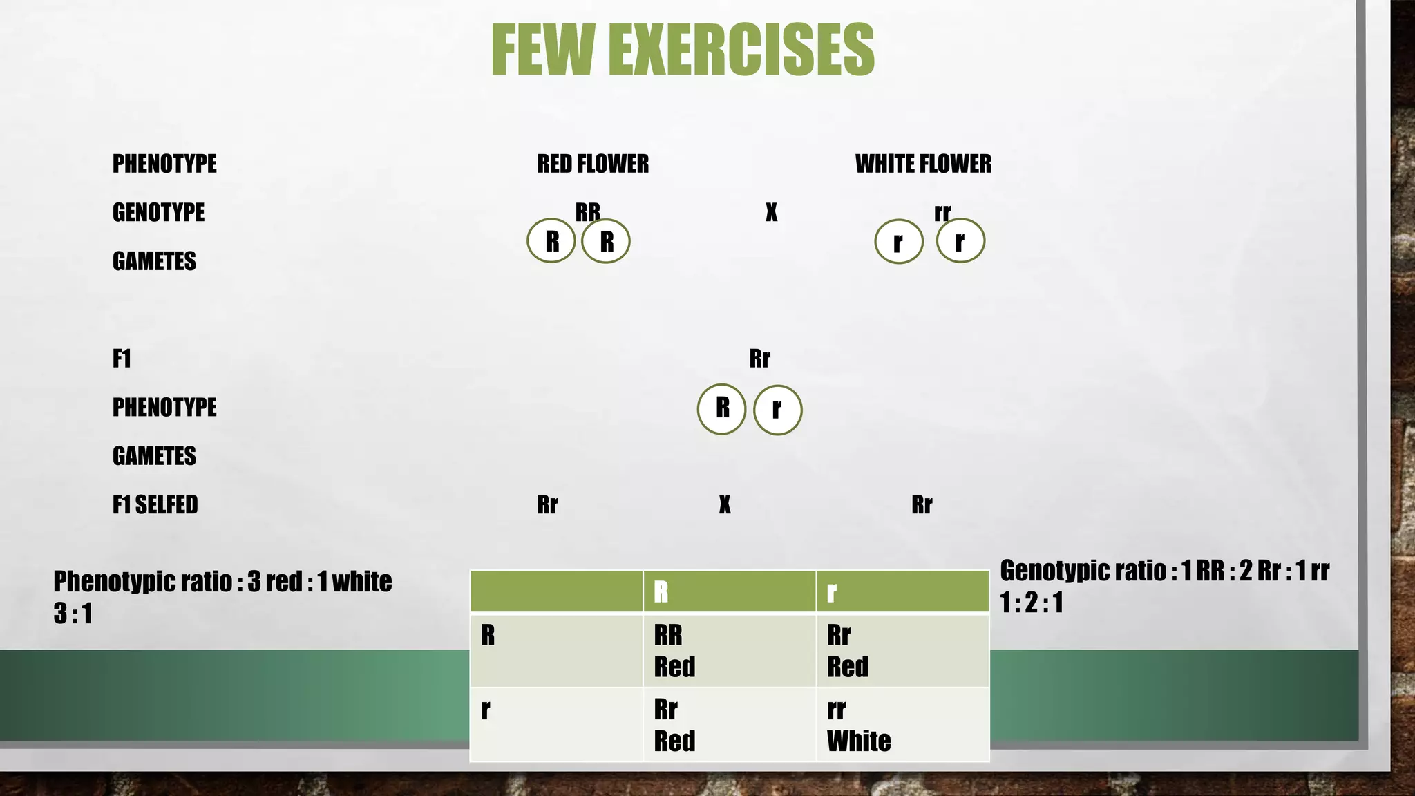 FEW EXERCISES
PHENOTYPE RED FLOWER WHITE FLOWER
GENOTYPE RR X rr
GAMETES
F1 Rr
PHENOTYPE
GAMETES
F1 SELFED Rr X Rr
R r
R r
R r
R r
R RR
Red
Rr
Red
r Rr
Red
rr
White
Phenotypic ratio : 3 red : 1 white
3 : 1
Genotypic ratio : 1 RR : 2 Rr : 1 rr
1 : 2 : 1
 