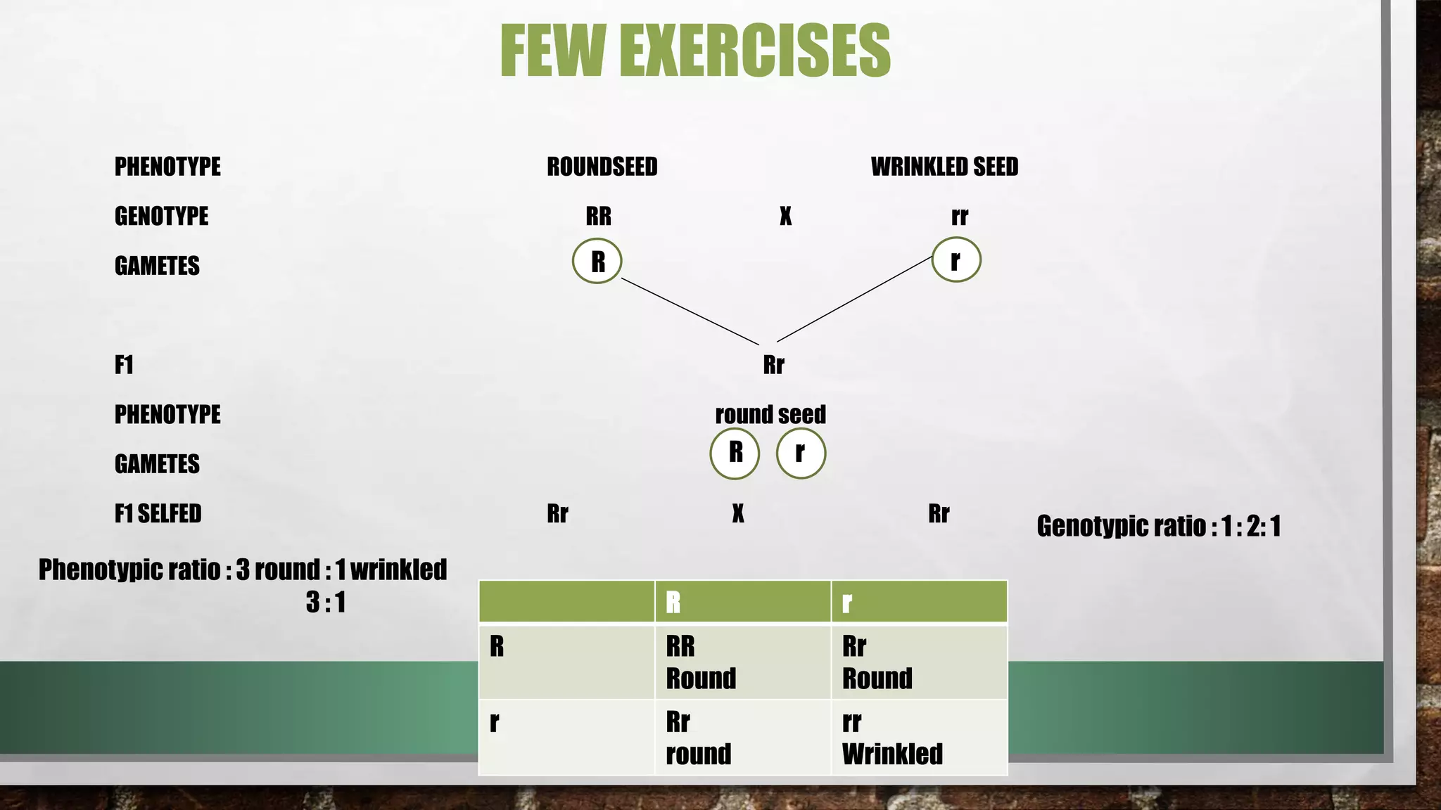 FEW EXERCISES
PHENOTYPE ROUNDSEED WRINKLED SEED
GENOTYPE RR X rr
GAMETES
F1 Rr
PHENOTYPE round seed
GAMETES
F1 SELFED Rr X Rr
r
R r
R
R r
R RR
Round
Rr
Round
r Rr
round
rr
Wrinkled
Phenotypic ratio : 3 round : 1 wrinkled
3 : 1
Genotypic ratio : 1 : 2: 1
 