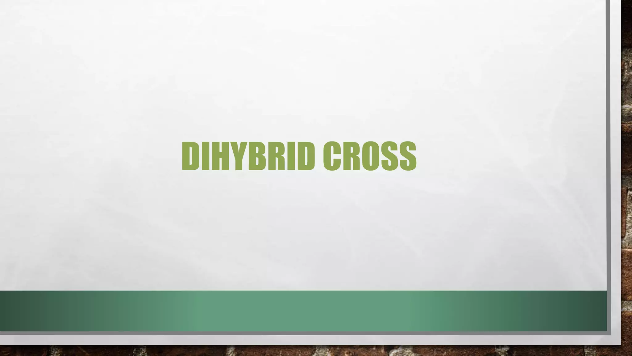 DIHYBRID CROSS
 