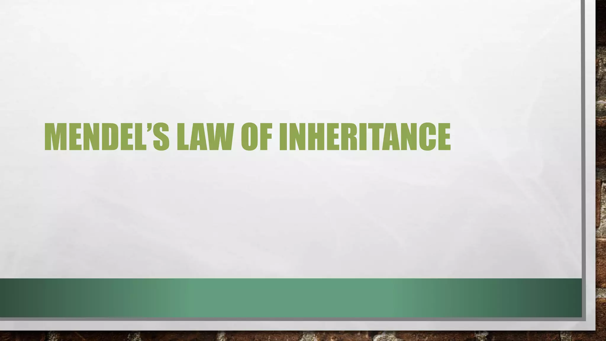 MENDEL’S LAW OF INHERITANCE
 