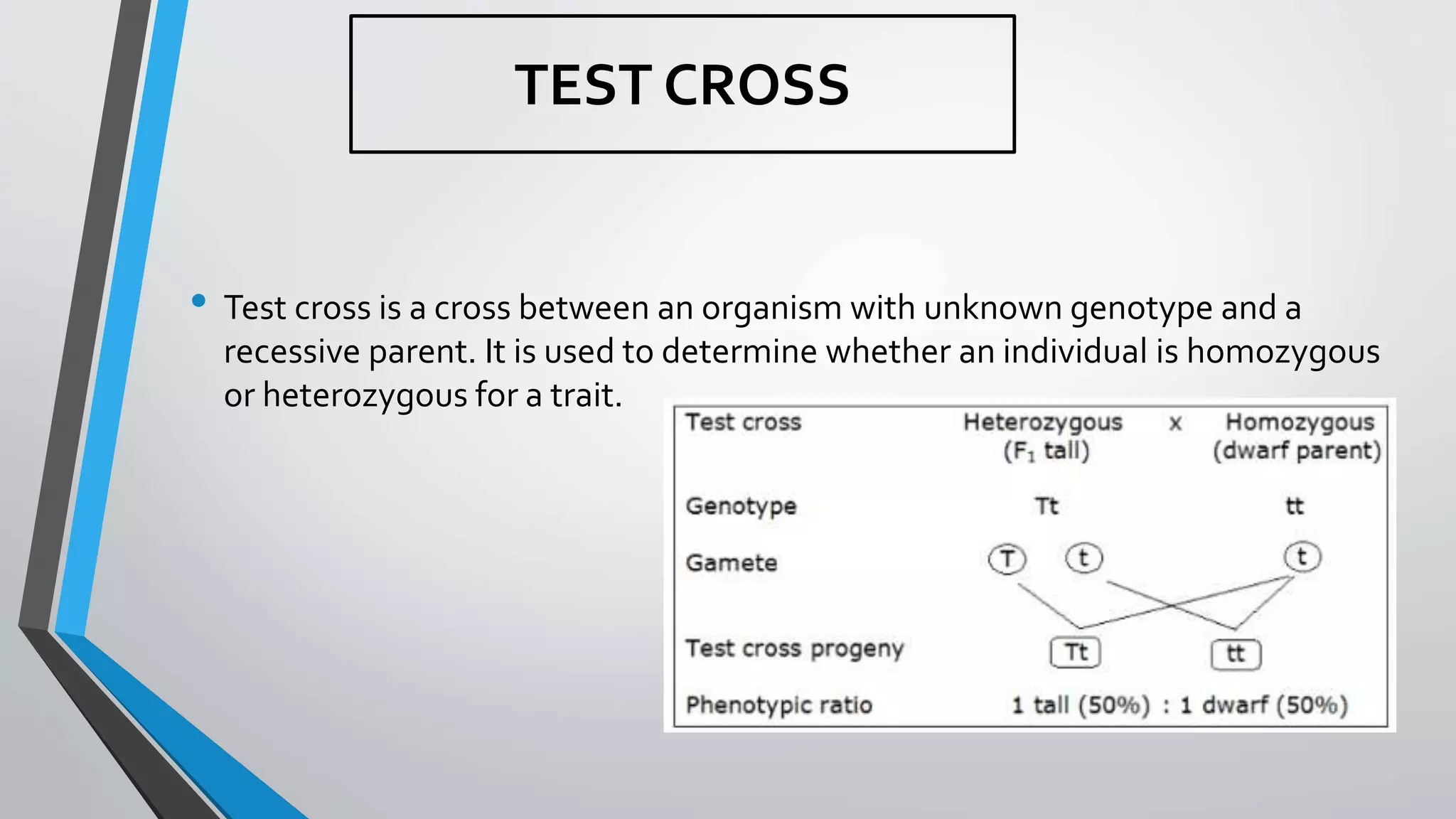 TEST CROSS
• Test cross is a cross between an organism with unknown genotype and a
recessive parent. It is used to determine whether an individual is homozygous
or heterozygous for a trait.
 
