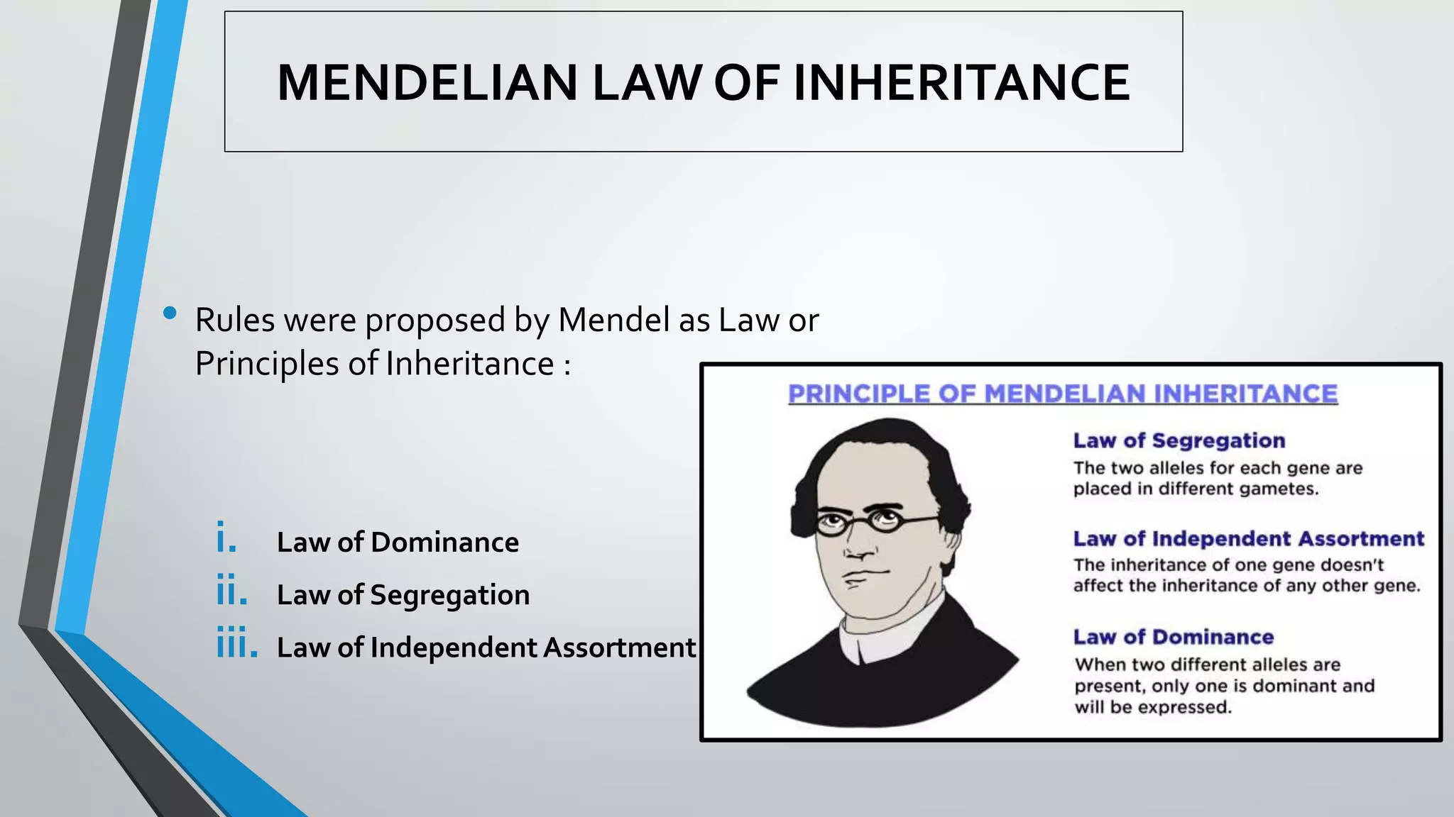 MENDELIAN LAW OF INHERITANCE
• Rules were proposed by Mendel as Law or
Principles of Inheritance :
i. Law of Dominance
ii. Law of Segregation
iii. Law of IndependentAssortment
 