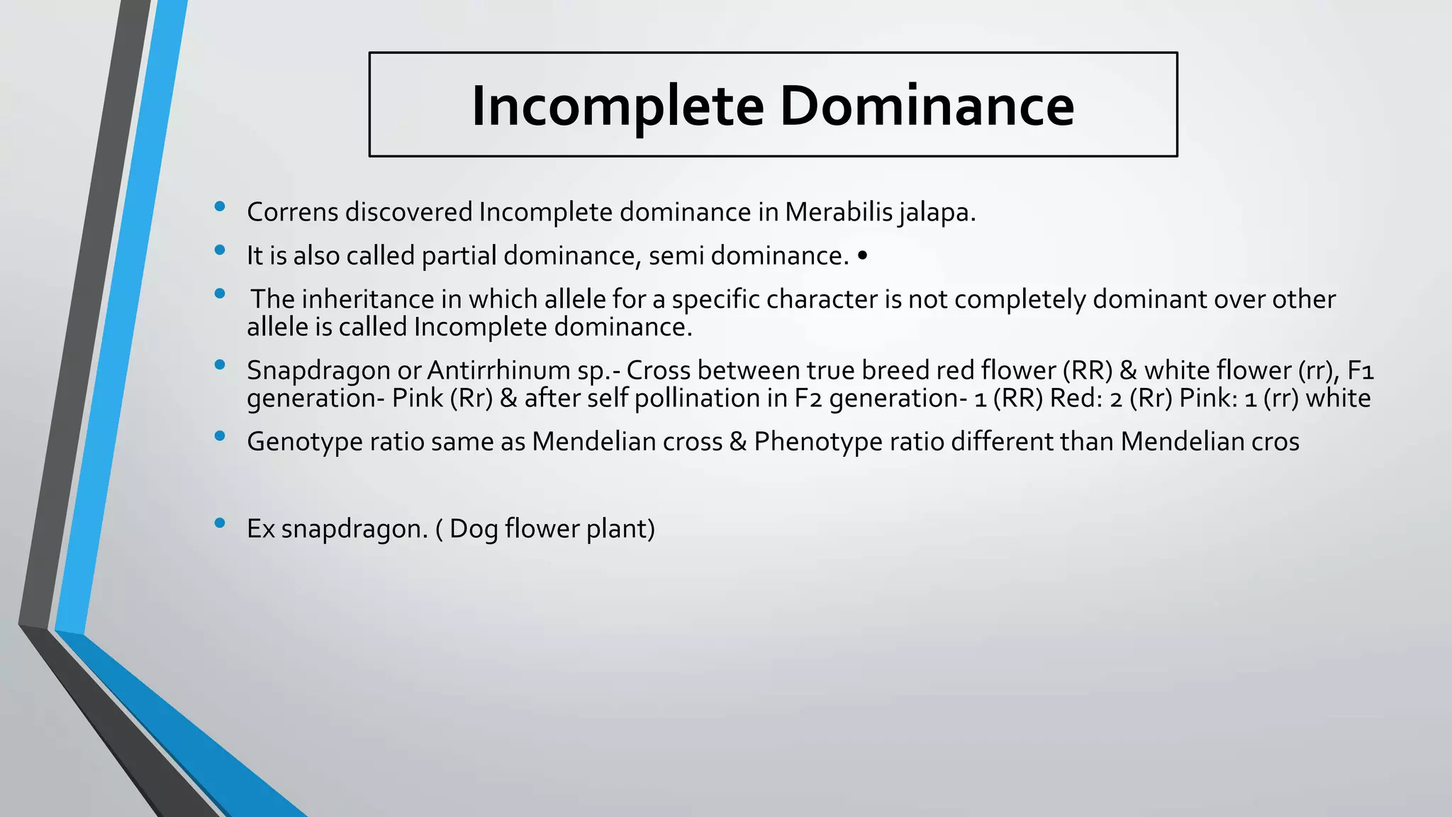 Incomplete Dominance
• Correns discovered Incomplete dominance in Merabilis jalapa.
• It is also called partial dominance, semi dominance. •
• The inheritance in which allele for a specific character is not completely dominant over other
allele is called Incomplete dominance.
• Snapdragon or Antirrhinum sp.- Cross between true breed red flower (RR) & white flower (rr), F1
generation- Pink (Rr) & after self pollination in F2 generation- 1 (RR) Red: 2 (Rr) Pink: 1 (rr) white
• Genotype ratio same as Mendelian cross & Phenotype ratio different than Mendelian cros
• Ex snapdragon. ( Dog flower plant)
 