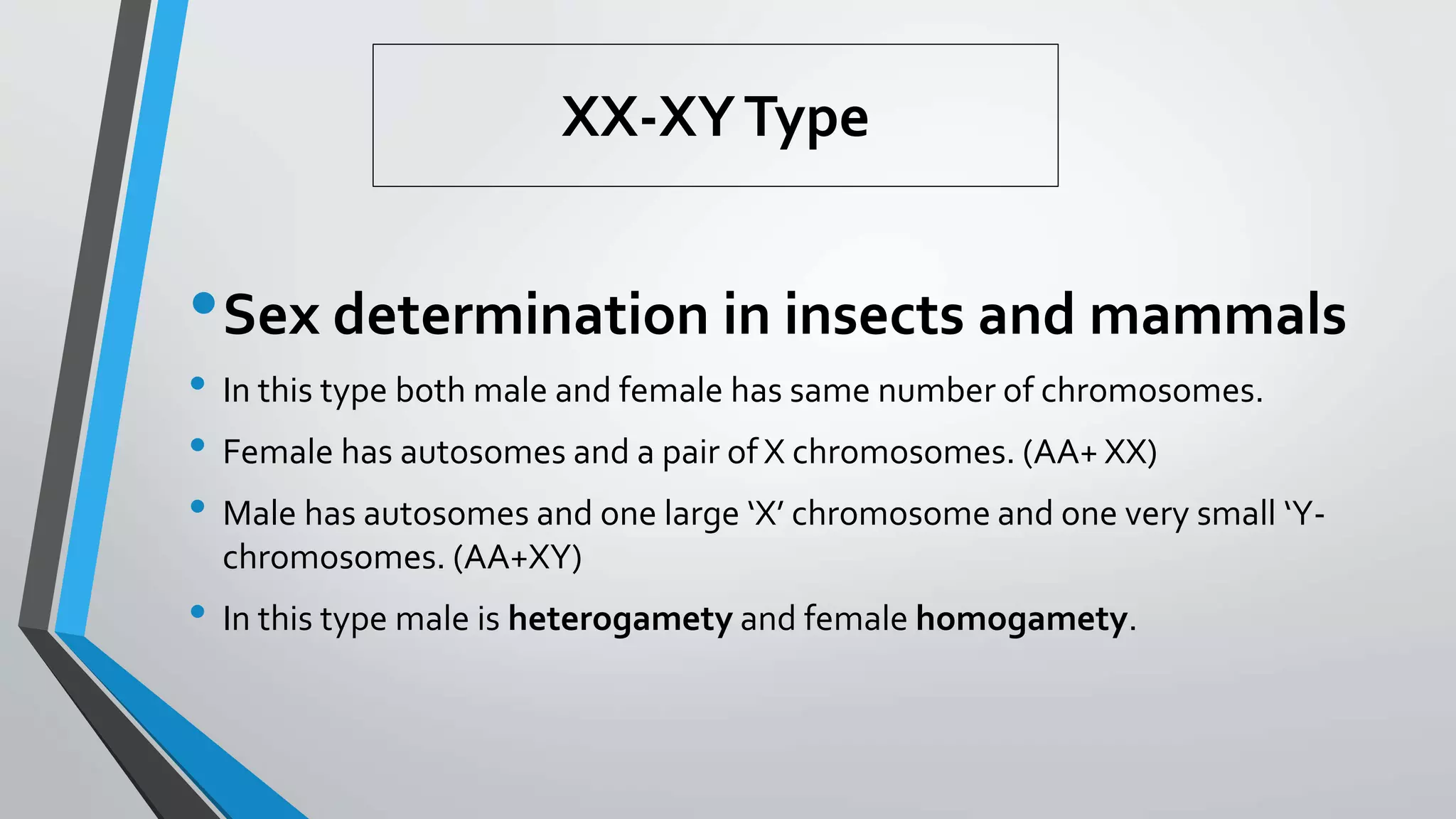 XX-XYType
•Sex determination in insects and mammals
• In this type both male and female has same number of chromosomes.
• Female has autosomes and a pair of X chromosomes. (AA+ XX)
• Male has autosomes and one large ‘X’ chromosome and one very small ‘Y-
chromosomes. (AA+XY)
• In this type male is heterogamety and female homogamety.
 